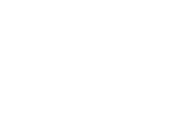 Plexa Logo Footer