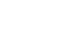 Plexa Logo Footer