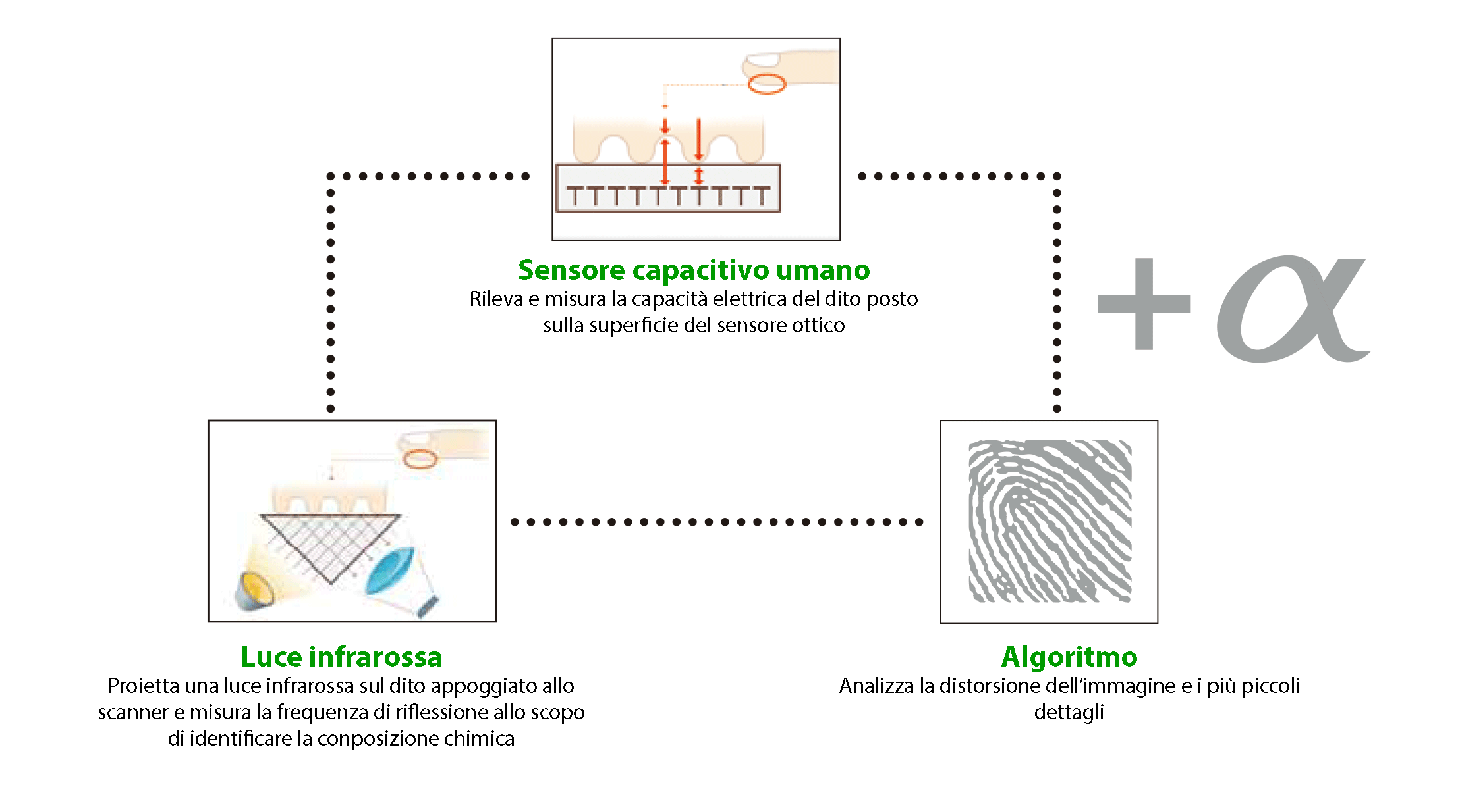 Tecnologia riconoscimento impronte digitali falsi lettori biometrici Plexa